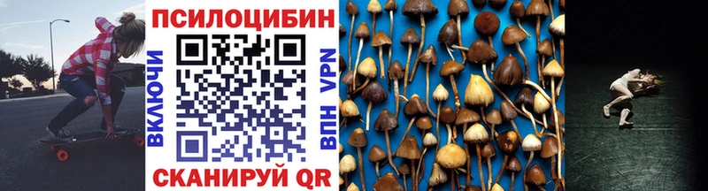 Псилоцибиновые грибы Psilocybine cubensis  где продают   ссылка на мегу ссылки  Ветлуга 