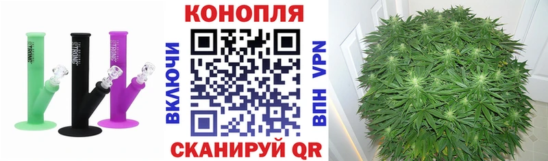 MEGA ТОР  Ветлуга  Каннабис гибрид 
